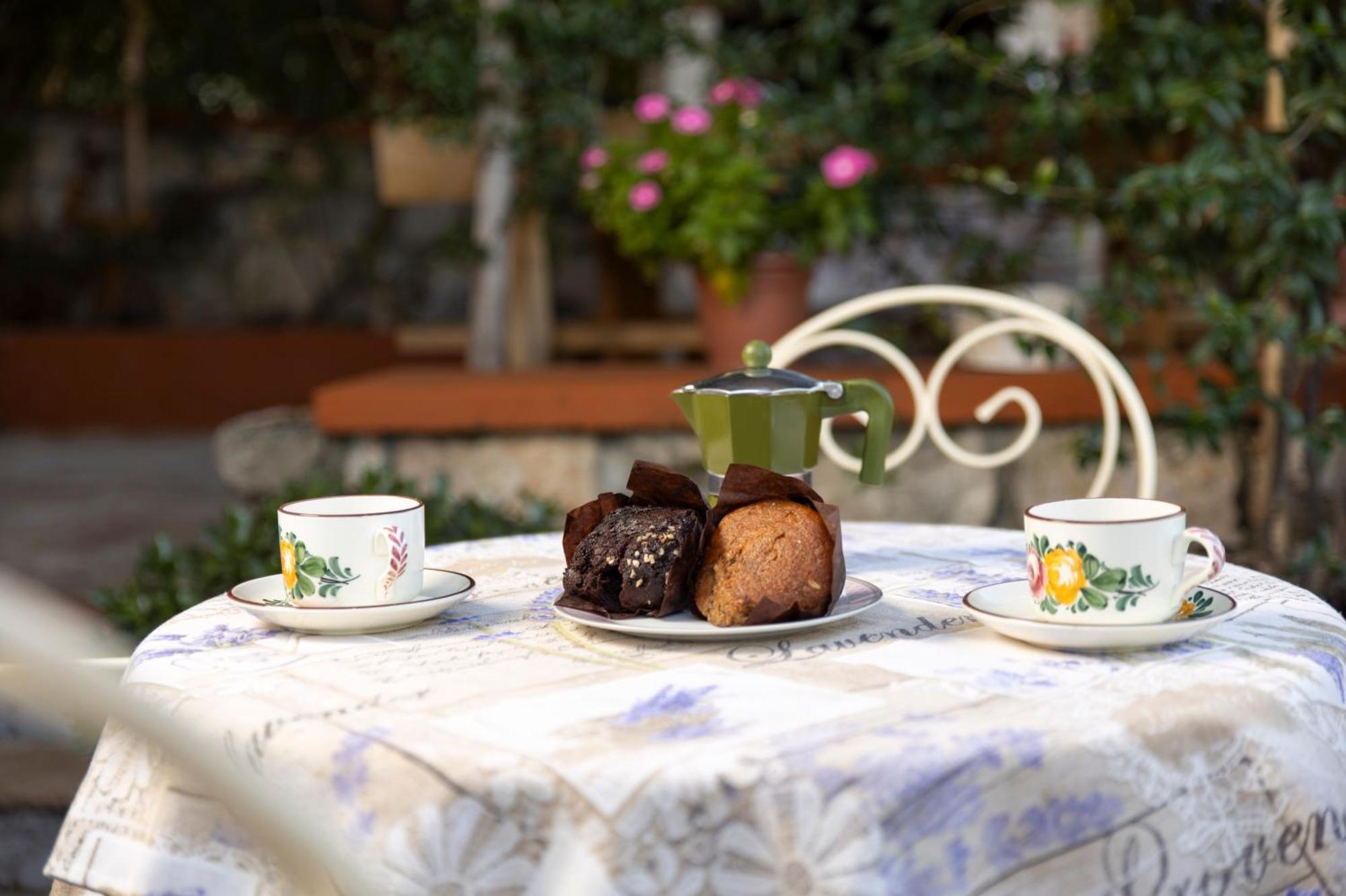 Anamaria Rustic