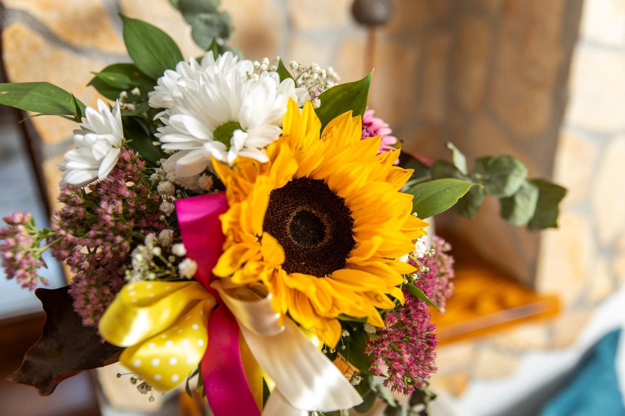 Accommodatie bij particulieren Anamaria Rustic *